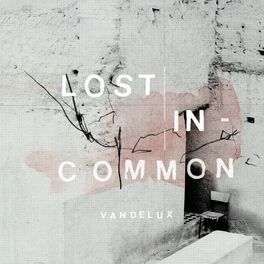 Album cover of Lost in Common