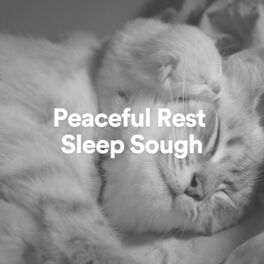 Album cover of Peaceful Rest Sleep Sough