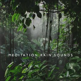 Album cover of Meditation Rain Sounds - Tropical Forest, Relaxing Noise for Better Sleep, to Relief Your Daily Stress, Study, Yoga
