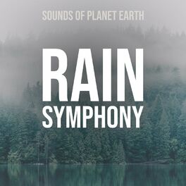 Album cover of Rain Symphony