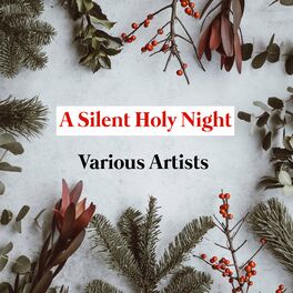 Album cover of A Silent Holy Night