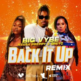 Album cover of Back It Up (Remix)