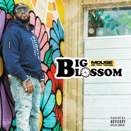 Album cover of Big Blossom