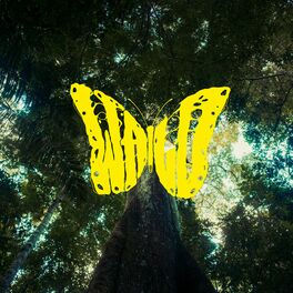 Album cover of Wald