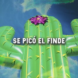 Album cover of Se Picó El Finde