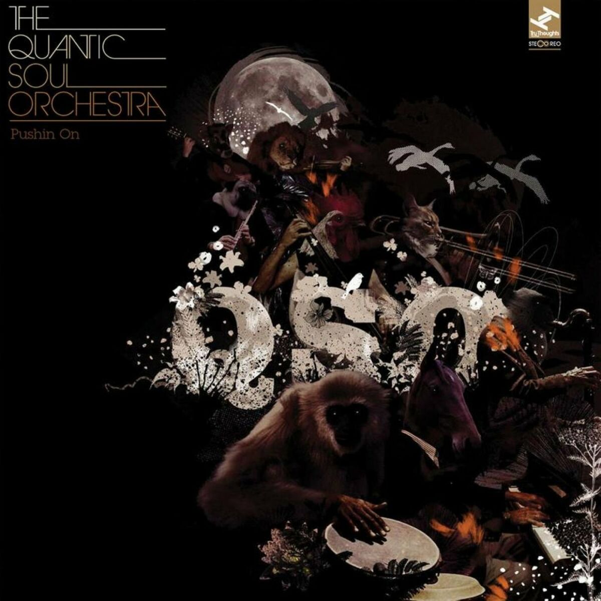 The Quantic Soul Orchestra: albums, songs, playlists | Listen on 