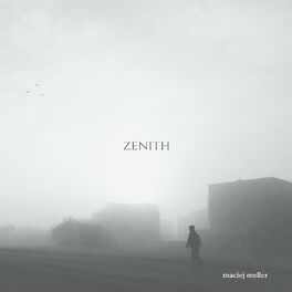 Album cover of Zenith