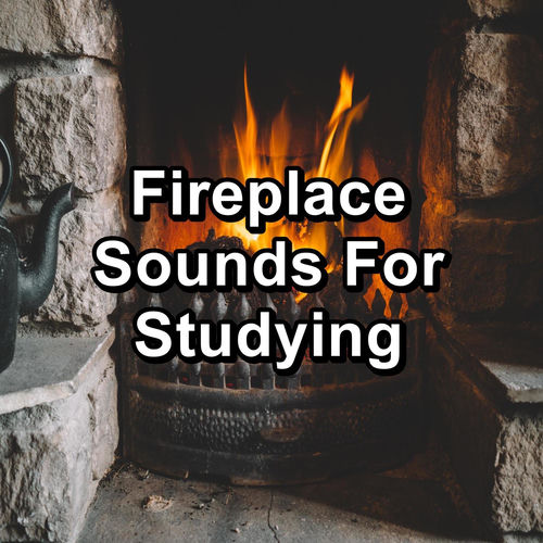 Rhymes With Fireplace canvasbald