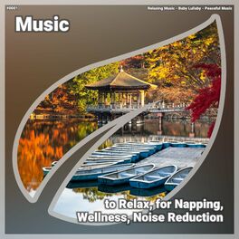 Album cover of ! #0001 Music to Relax, for Napping, Wellness, Noise Reduction