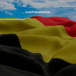 Album cover of Love Constitution