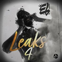 Album cover of Leaks 4