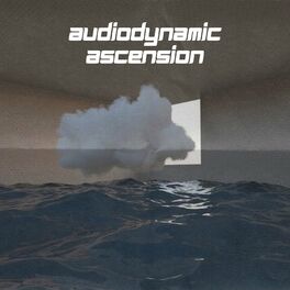 Album cover of Audiodynamic