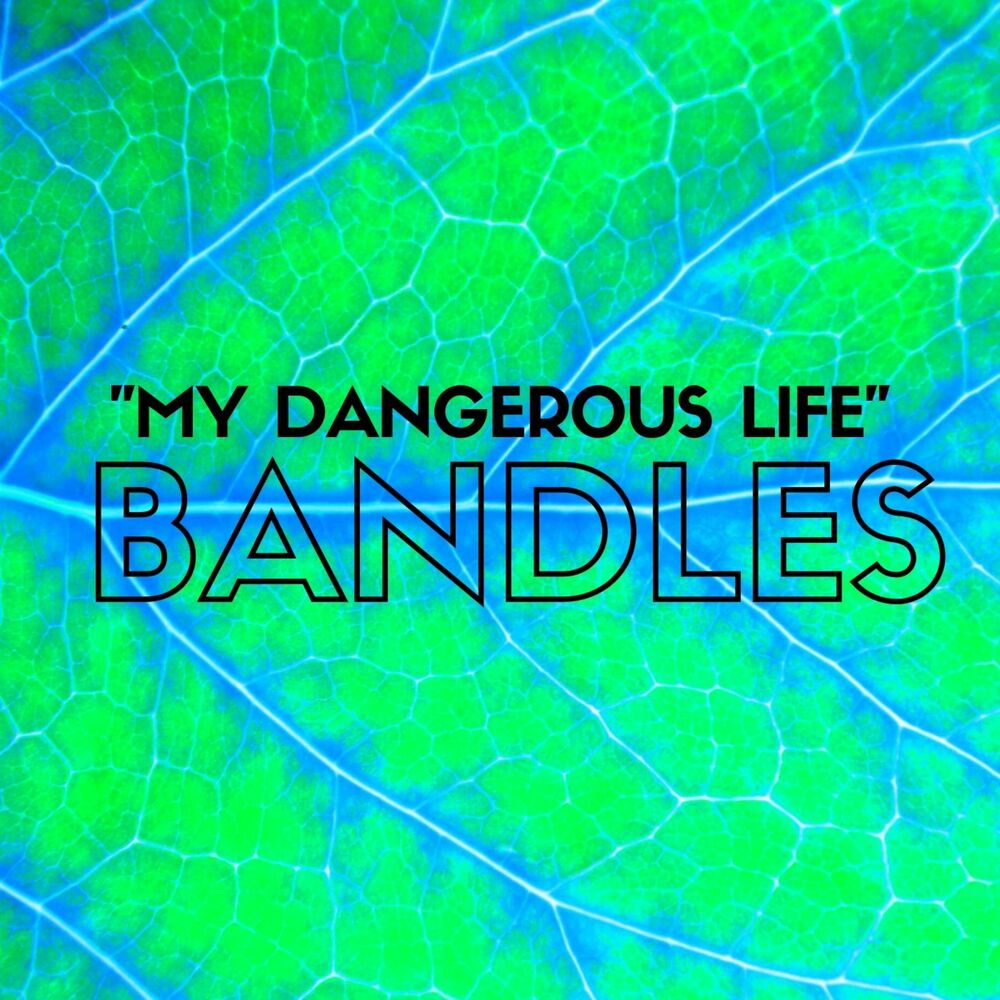 Life is danger. My Dangerous Life. Life is Dangerous. Life so Dangerous. My Dangerous Life СП.