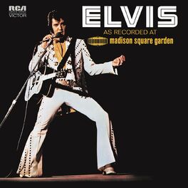 Elvis Presley That S All Right Live Listen With Lyrics Deezer