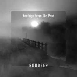 Album cover of Feelings From the Past