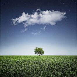 Album cover of Pistas Relajantes de Primavera Para Relajarse