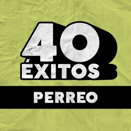 Album cover of 40 Éxitos: Perreo