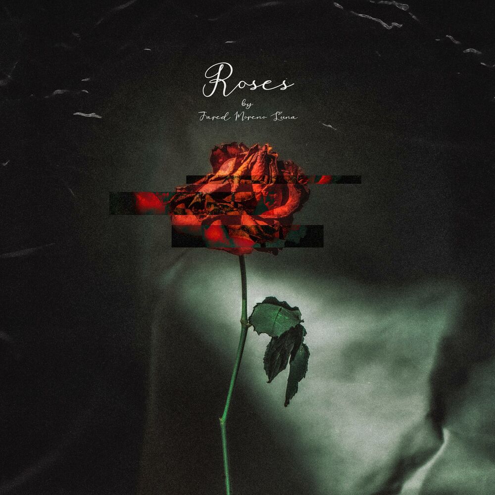 Rose track. Обложки для песен с розой. Песня Roses обложка. The Rose песни. Jared Moreno Luna.