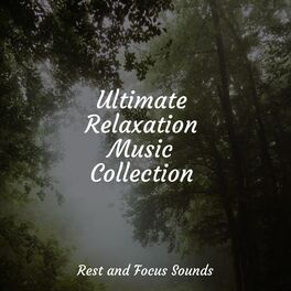 Album cover of Ultimate Relaxation Music Collection
