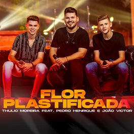 Album cover of Flor Plastificada