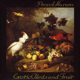 Album cover of Exotic Birds and Fruit
