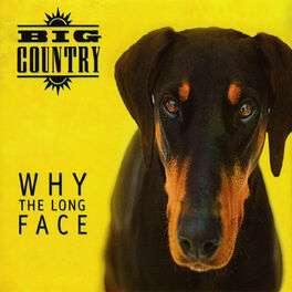 Album cover of Why the Long Face (Bonus Tracks & Demos)