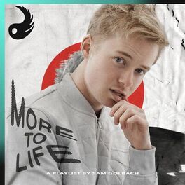 Album cover of More to Life by Sam Golbach