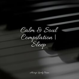 Album cover of Calm & Soul Compilation | Sleep