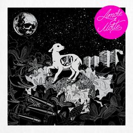 Album cover of Amore e morte