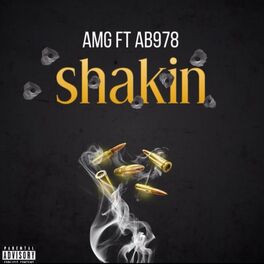 Album cover of Shakin