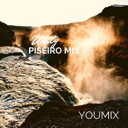 Album cover of Unity Piseiro Mix