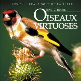 Album cover of Oiseaux virtuoses
