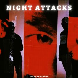 Album cover of NIGHT ATTACKS