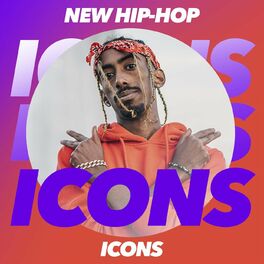 Album cover of New Hip Hop Icons