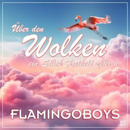 Album cover of Über den Wolken ein Stück Freiheit spür'n