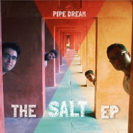 Album cover of The Salt