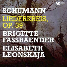 Album cover of Schumann: Liederkreis, Op. 39