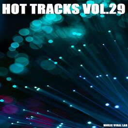 Album cover of Hot Tracks Vol. 29