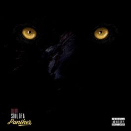 Album cover of Soul of a Panther