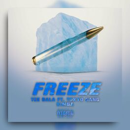 Album cover of Freeze (feat. Tokyo Gang & Kimba)