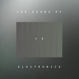 Album cover of The Sound Of Electronica, Vol. 13