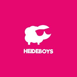 Album cover of Best Of Heideboys 2