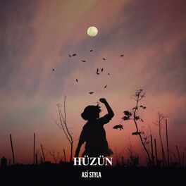 Album cover of Hüzün