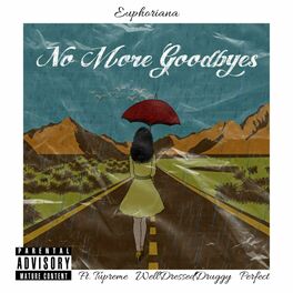 Album cover of No More Goodbyes