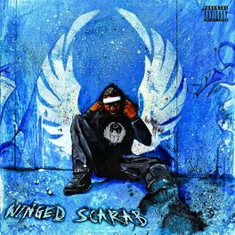 Album cover of Winged Scarab