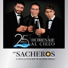 Album cover of 25 Años Homenaje al Cielo