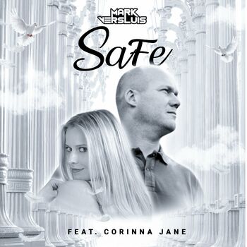 Safe cover