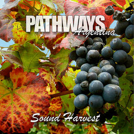 Album cover of Sound Harvest