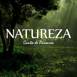 Album cover of Natureza: Canto de Pássaros