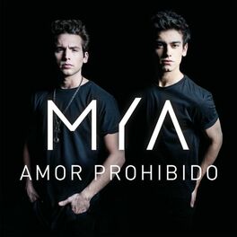 Album cover of Amor Prohibido